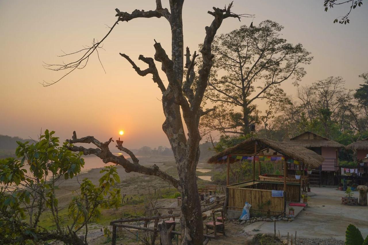 Bamby Chilling House - Feel The Nature Sauraha Zewnętrze zdjęcie