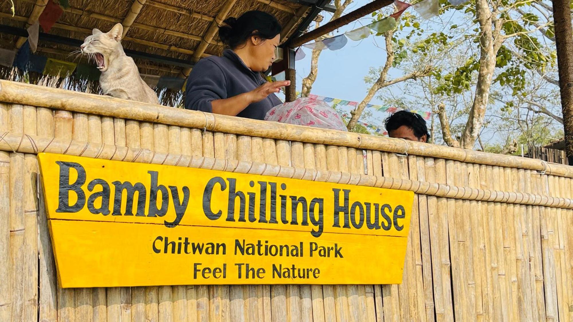 Bamby Chilling House - Feel The Nature Sauraha Zewnętrze zdjęcie