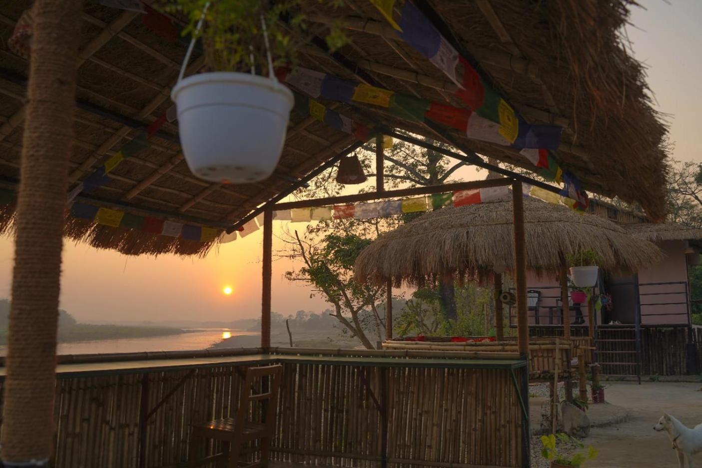 Bamby Chilling House - Feel The Nature Sauraha Zewnętrze zdjęcie