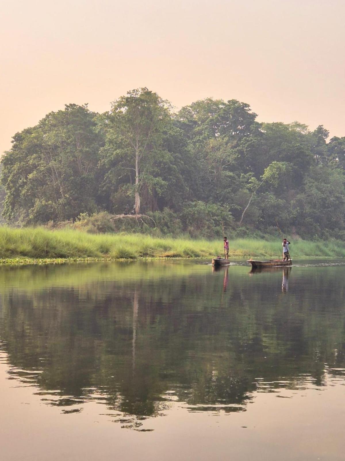 Bamby Chilling House - Feel The Nature Sauraha Zewnętrze zdjęcie