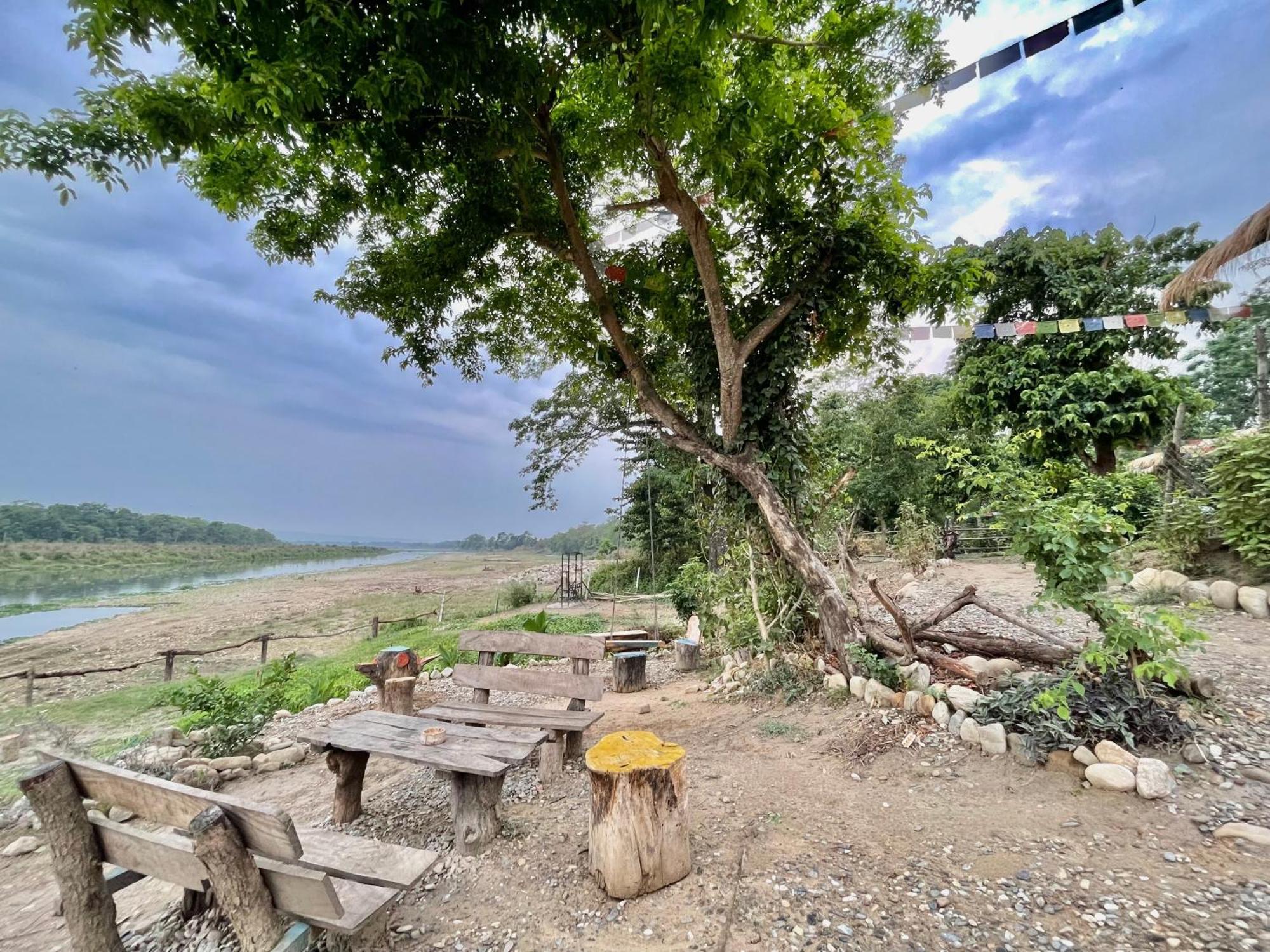 Bamby Chilling House - Feel The Nature Sauraha Zewnętrze zdjęcie
