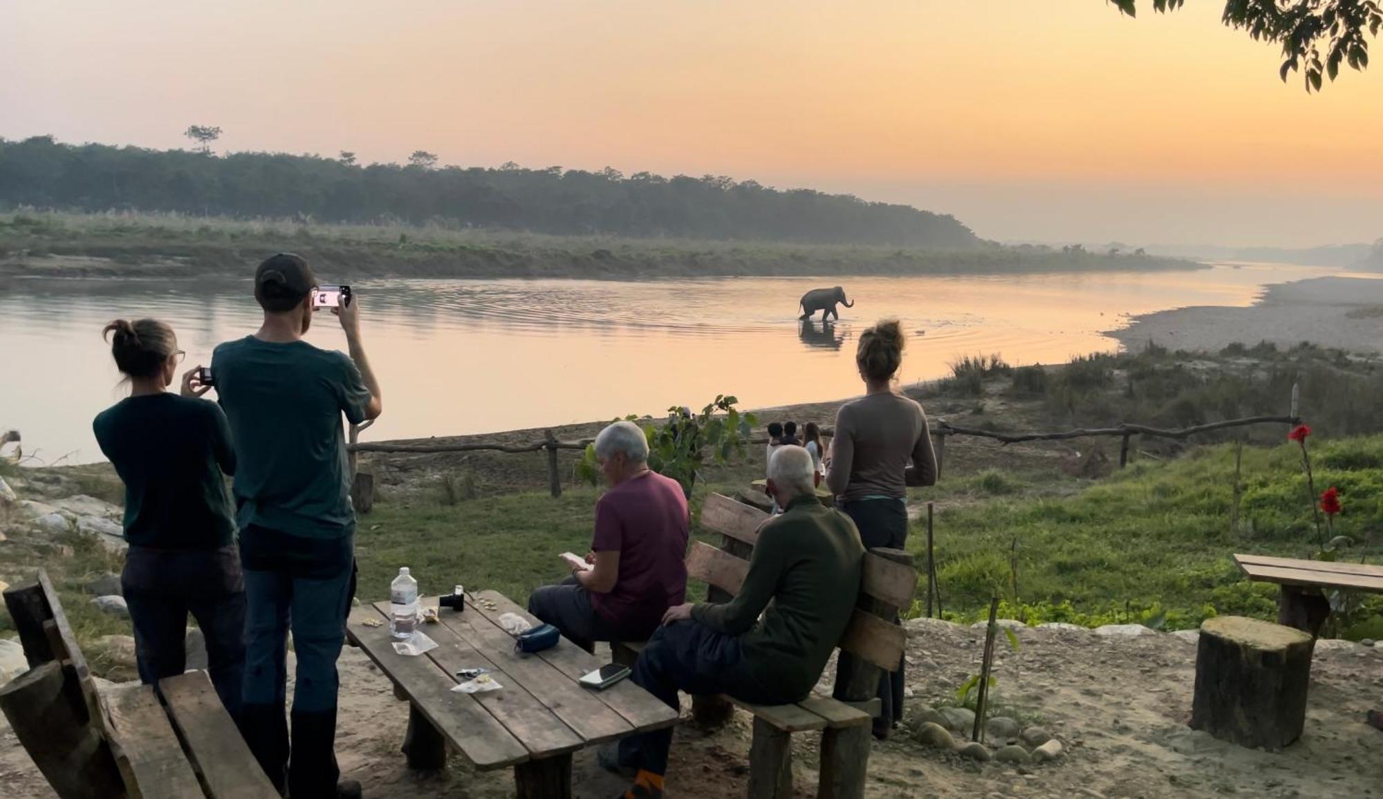 Bamby Chilling House - Feel The Nature Sauraha Zewnętrze zdjęcie
