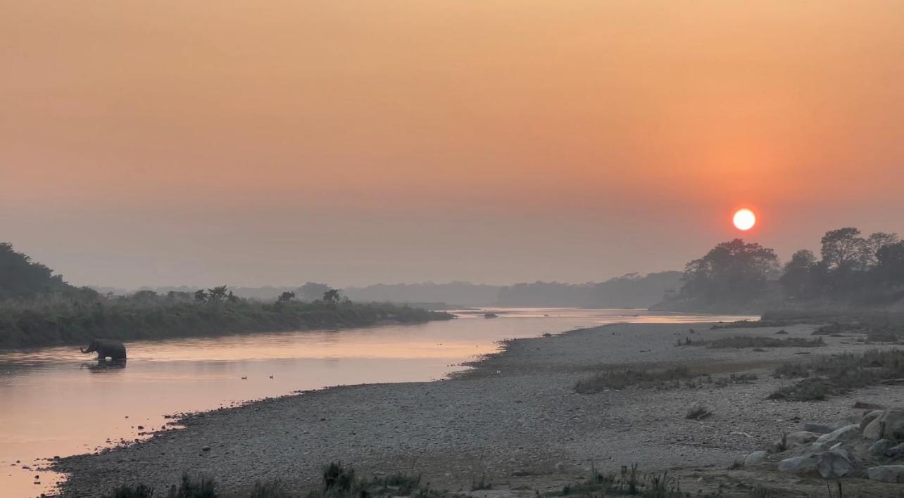 Bamby Chilling House - Feel The Nature Sauraha Zewnętrze zdjęcie