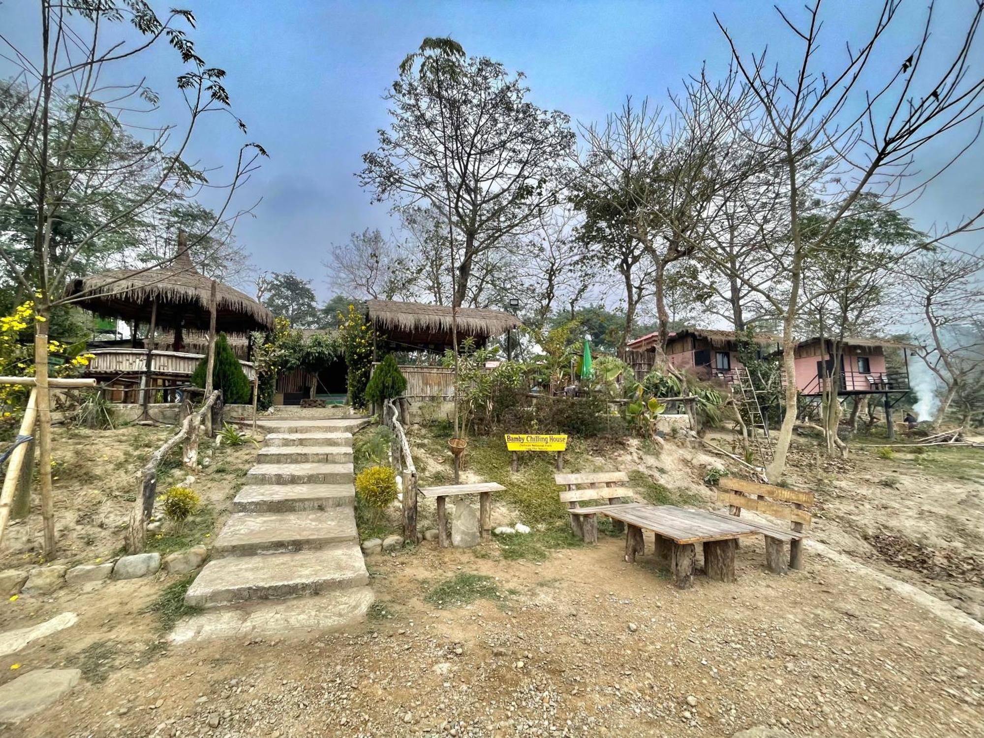 Bamby Chilling House - Feel The Nature Sauraha Zewnętrze zdjęcie