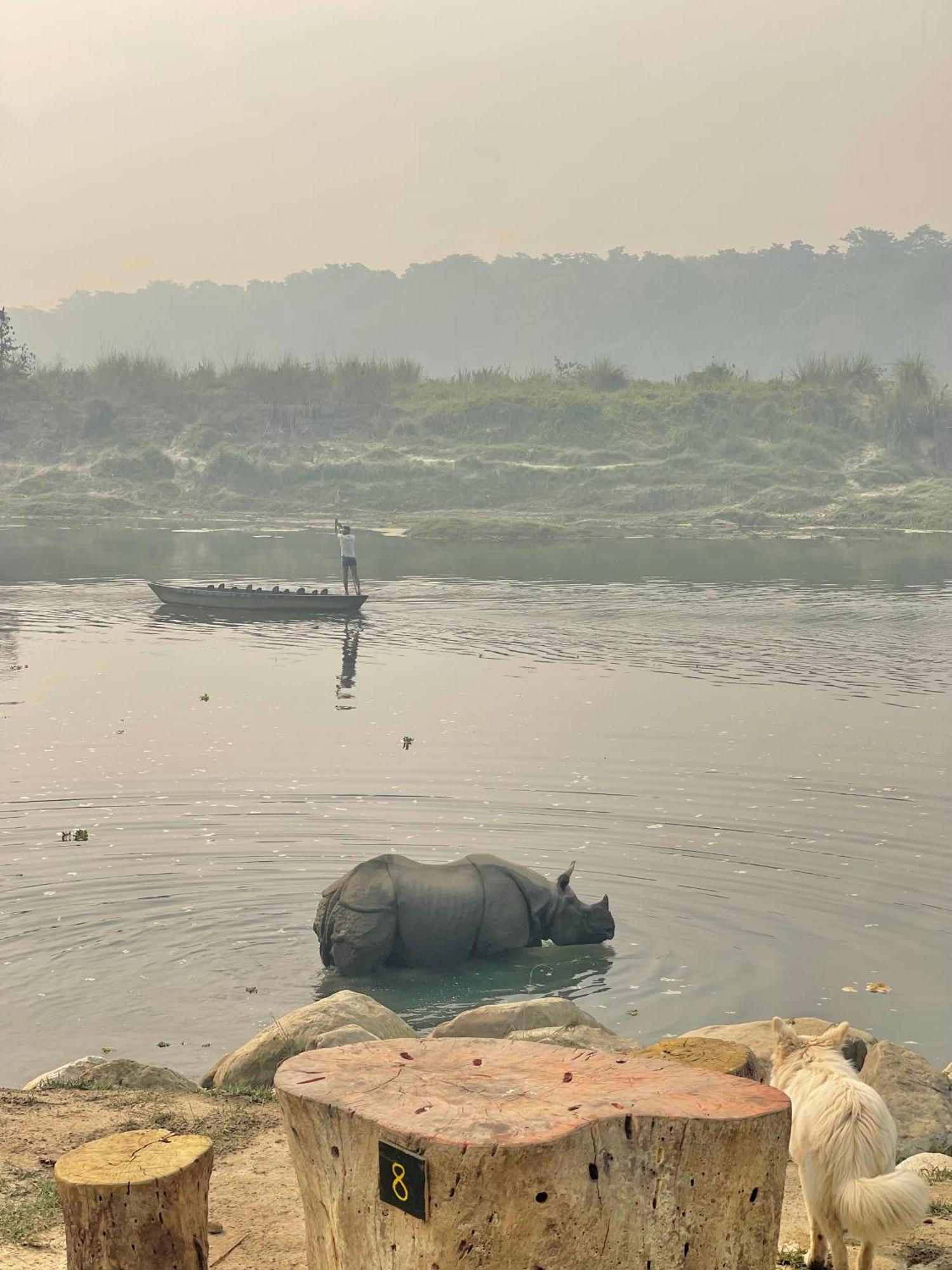 Bamby Chilling House - Feel The Nature Sauraha Zewnętrze zdjęcie