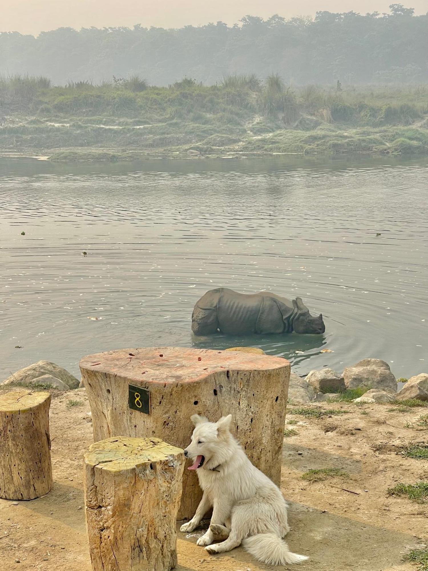 Bamby Chilling House - Feel The Nature Sauraha Zewnętrze zdjęcie