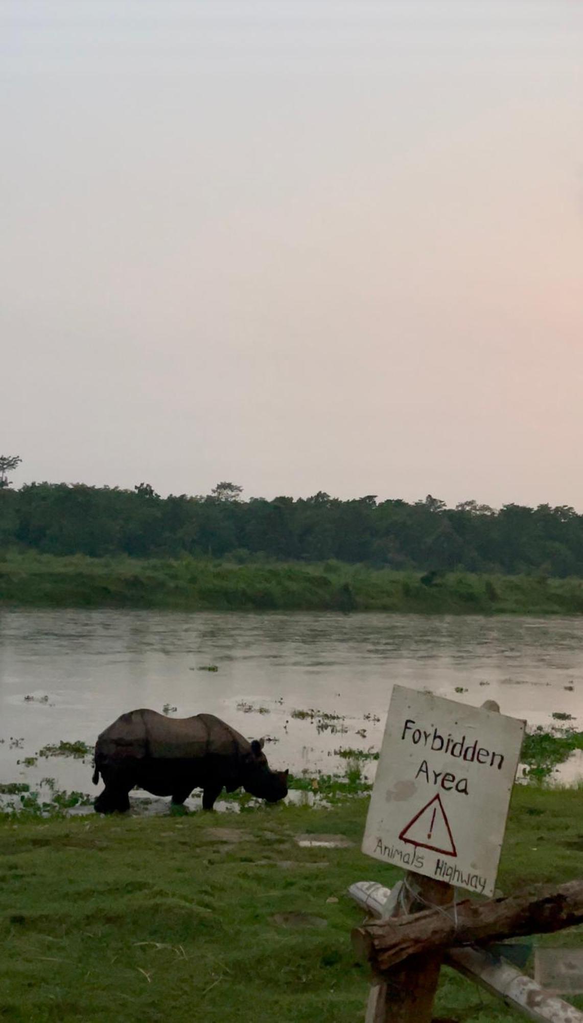 Bamby Chilling House - Feel The Nature Sauraha Zewnętrze zdjęcie
