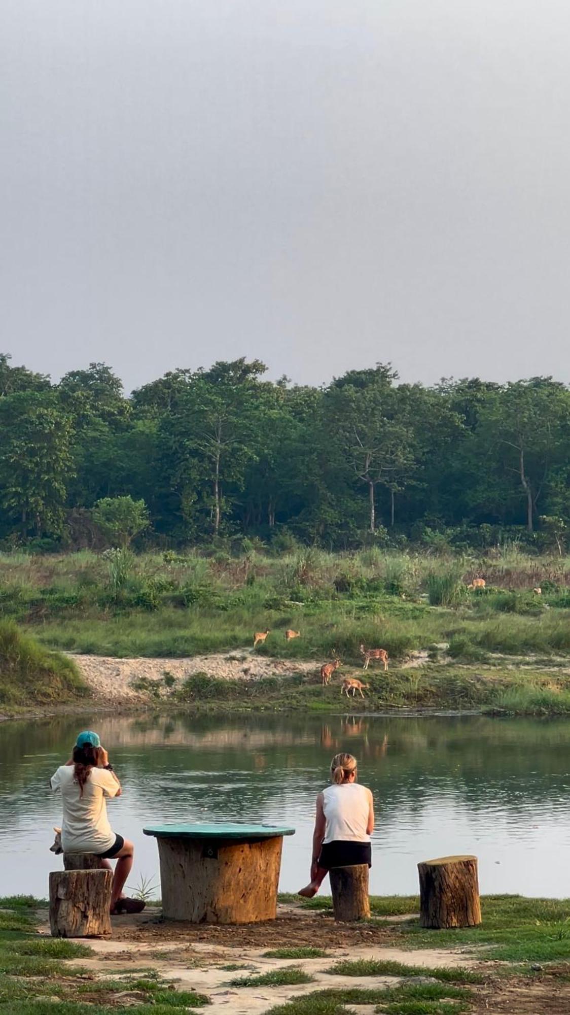 Bamby Chilling House - Feel The Nature Sauraha Zewnętrze zdjęcie